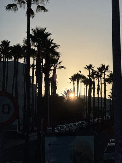 The image shows a sunset in Adeje, Spain, with silhouetted palm trees in the foreground and a parking lot filled with cars in the background. The sun is low on the horizon, casting a warm glow across the sky. A road sign with the number "0" is visible on the left side of the image. A large, dark structure, possibly a building, is partially visible behind the palm trees on the left. In the lower right corner, part of a sign with text that appears to say "Cruz Roja" (Spanish for Red Cross) is visible. The overall scene suggests a warm, tropical evening in a coastal town.