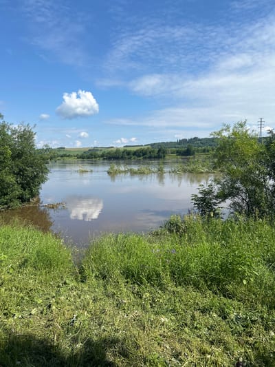 The image depicts a wide, muddy river flowing through a rural landscape under a bright blue sky with scattered white clouds. The riverbanks are overgrown with lush green grass and trees, some of which are partially submerged due to high water levels. Several branches and debris are visible floating on the water's surface, suggesting recent flooding. In the background, rolling hills covered with trees and fields stretch towards the horizon. A transmission tower can be seen on the right side of the image. The scene appears to be a natural landscape without any signs of human activity or infrastructure other than the distant transmission tower. The location is identified as Lyamino, Russia.