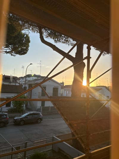 This is a photograph taken from an elevated position, possibly a balcony or scaffolding, looking down onto a street and buildings. The image is oriented sideways. The scene depicts an urban setting in Ravenna, Italy, during what appears to be late afternoon or early evening, given the warm, low angle of the sun.

The primary subjects are the buildings, a street, a few parked cars, a tree with a thick trunk and branches, and scaffolding structures in the foreground and middle ground. The buildings are multi-story, with white facades and dark-tiled roofs. Some have visible balconies and windows with green shutters. A street runs alongside the buildings, with cracked asphalt visible. Two dark-colored cars are parked on the street, one a hatchback and the other a larger SUV. A tall, dark tree with thin needles is prominent on the left side of the frame, its branches extending upwards and across. The scaffolding, made of metal poles, partially obscures the view, creating a frame-like effect.

The sunlight is a dominant feature, casting strong rays and creating lens flare effects, especially in the upper right quadrant of the image. This suggests it is a clear day. The light illuminates the sky with a golden hue near the horizon and a pale blue higher up. Several television antennas are visible on the rooftops of the buildings, a common sight in urban areas.

There is no discernible activity or event taking place; the scene is static and captures a moment in time. The overall mood is one of quiet observation, with the warm sunlight adding a sense of peacefulness or warmth to the urban environment. No text is visible in the image.