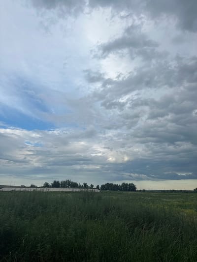 The image shows a vast, grassy field under a cloudy sky. A line of trees runs along the horizon, behind which are some buildings and what appears to be a road with streetlights. The sky is filled with a mixture of grey and white clouds, with some patches of blue visible. The foreground is dominated by tall, green grass, some of which is flowering with small yellow blooms. The scene appears to be located in a rural or semi-rural area. The image was captured in the city of Заречный ауылдық округі, Kazakhstan.