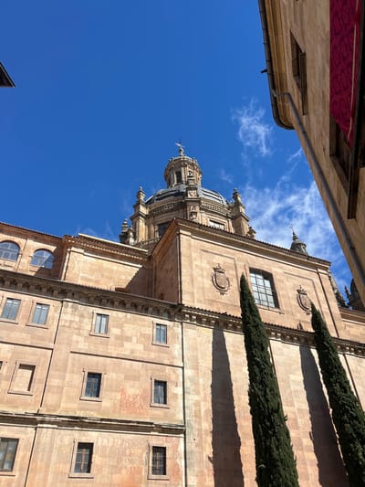 The photo is a low-angle shot of a building in Salamanca, Spain. The structure is predominantly constructed of light brown stone and features multiple windows, some of which are rectangular and others arched. Two dark green, vertical trees are aligned on the right side of the building. The building has intricate architectural details, including decorative moldings, pilasters, and a dome-shaped structure on top with a spire. The sky is a bright blue with wispy white clouds. Part of another building is visible on the left, made of similar stone, and has a red cloth hanging from it.