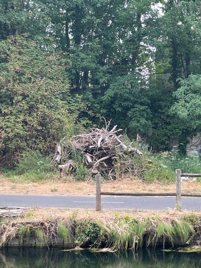 This is a medium shot, eye-level, outdoor photograph taken on an overcast day. The scene depicts a wooded area with a body of water in the foreground. A pile of dead branches and logs is centrally located in the mid-ground. Behind the pile, a stone wall with graffiti is visible, partially obscured by trees and foliage. A paved path runs horizontally across the image, separating the wooded area from the water. A wooden fence with vertical posts and a horizontal rail is situated along the edge of the path, overlooking the water. The water in the foreground is dark and reflects the surrounding environment. The overall atmosphere is one of natural overgrowth and decay. This scene is located in Villeparisis, France.