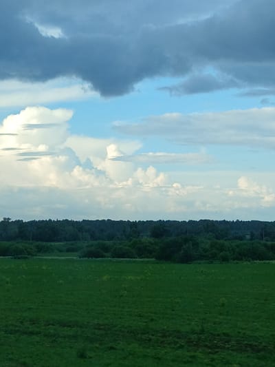 The image depicts a landscape scene with a vast green field in the foreground. A dense line of dark green trees forms the middle ground, stretching horizontally across the frame. Above the trees, the sky is a mixture of blue and white clouds, with some darker, heavier clouds present towards the top. The overall impression is one of a rural or natural setting, potentially in Kvarsa, Russia, given the context. There are no visible people, structures, or specific landmarks that would indicate a precise urban location within Kvarsa. The lighting suggests it might be late afternoon or early evening.