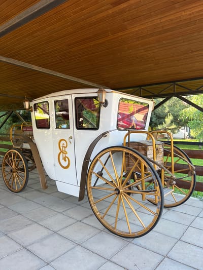 A white horse-drawn carriage with gold detailing sits under a wooden canopy. The carriage has large spoked wheels, gold trim, and windows with red curtains. A wooden chest is attached to the back of the carriage. The carriage is parked on a paved surface, likely in an outdoor area, with a wooden fence and greenery visible in the background. The location is identified as Plastunivska, Russia. There are no people or animals visible in the image.