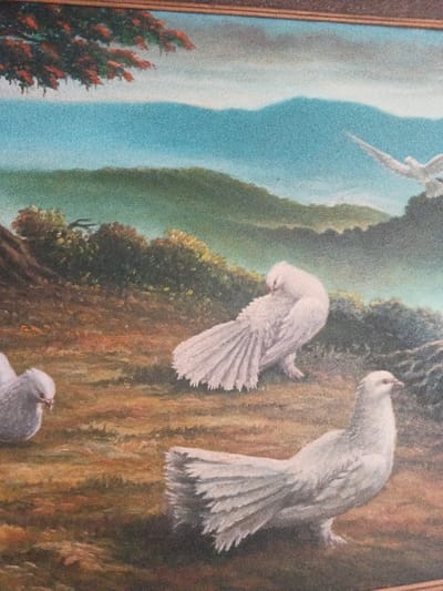 This image displays a framed landscape painting, photographed in Dogsenang Gorphoog, Bhutan. The painting features four white fantail doves in a natural, outdoor environment.
In the foreground, a white fantail dove stands on mottled reddish-brown and green ground, facing right. To its upper left, a second white fantail dove is partially visible, facing left with its head lowered. A third white fantail dove in the central midground preens its back feathers, facing towards the upper right, with its tail fanned. A fourth white bird is depicted in flight in the upper right background, wings extended.
The background consists of rolling green hills, transitioning to distant light blue mountains beneath a pale blue sky. A tree branch with reddish-brown foliage extends into the upper left quadrant of the painting. The artwork is enclosed by a dark brown frame, partially visible along its top and bottom edges.