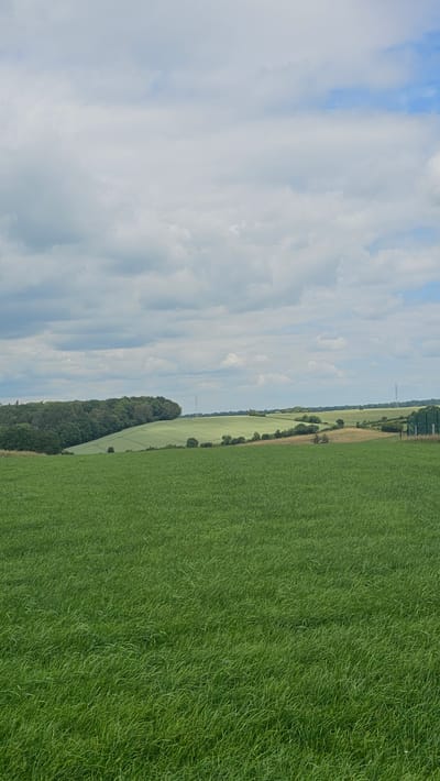 The image shows a rural landscape in the vicinity of Silenrieux, Belgium, under a partially cloudy sky. In the foreground, a vast, vibrant green field of grass stretches towards the horizon. The field is lush and appears well-maintained, with individual blades of grass clearly visible.

In the middle ground, the terrain gently slopes upwards, revealing a patchwork of agricultural fields. One field, closer to the left, is a lighter shade of green, suggesting a different crop, possibly wheat or barley, with visible tractor tracks indicating recent cultivation. Further in the distance, more fields of varying green hues are visible, interspersed with patches of darker vegetation and scattered trees.

The background features a line of dense green trees that form a natural boundary to the agricultural land. Beyond the trees, the horizon is marked by rolling hills and the subtle presence of human infrastructure. A tall, slender radio tower stands out against the sky on one of the distant hills. Power lines and pylons are also visible in the far distance, indicating the presence of electricity infrastructure. The sky is a mix of pale blue and soft grey clouds, suggesting fair weather with the possibility of intermittent shade. The overall impression is one of a tranquil, bucolic countryside scene.