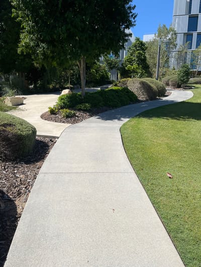 This image displays a well-maintained outdoor landscape in Kelvin Grove, Australia, under clear, sunny skies during the day. The primary subject is a light-colored, curving concrete pathway, likely made of exposed aggregate, that winds through the scene from the foreground to the midground. To the right of the pathway, a vibrant green lawn is visible, featuring a single small, reddish object, possibly a leaf. On the left side of the path, various types of landscaping are present, including neatly trimmed green bushes, some with drier, more textured foliage, and areas covered with dark brown mulch. Beyond these planted sections, several trees with dense green leaves stand tall, casting shadows across the ground and some parts of the pathway. In the background, modern, multi-story buildings with reflective facades and clean lines are visible against a bright blue sky, indicating an urban or campus environment. No people or specific activities are depicted, giving the scene a tranquil and ordered atmosphere. The bright sunlight creates strong contrasts and highlights textures across the different surfaces. No visible text is present.