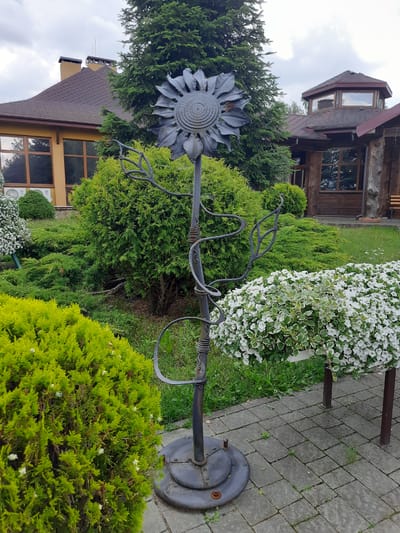 In Drohobych, Ukraine, a decorative metal sunflower sculpture stands prominently in a garden setting. The sculpture is dark gray and features a detailed sunflower head with layered petals. Its stem is adorned with swirling metal accents and leaf-like extensions. The base of the sculpture is a circular metal plate.
The sculpture is positioned on a paved pathway made of gray interlocking stones, some of which have small weeds growing between them. To the left of the sculpture, a vibrant, bright green, rounded shrub is visible. Behind the sculpture, a lush, green hedge forms a dense backdrop. Further back, a building with a brown roof and yellow walls, featuring large windows, is partially obscured by trees. To the right, a planter overflowing with white flowers and green variegated foliage is supported by dark brown legs. Beyond the planter, a rustic wooden building with a multi-sided roof can be seen. The environment suggests an outdoor area, possibly a park, restaurant garden, or private residence, with well-maintained landscaping. The sky is overcast with clouds.