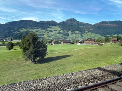 The image captures a pastoral scene in the vicinity of Steinen, Switzerland, characterized by rolling green hills and distant mountains under a bright blue sky with wispy clouds. In the foreground, a section of a railway track runs diagonally from the bottom right corner, its ballast composed of small grey stones. Adjacent to the tracks, a lush green meadow stretches towards a line of trees and a few rural buildings.
Among the scattered farm buildings, a prominent barn-like structure with a dark, pitched roof stands out in the mid-ground, to the left of center. To its right, a cluster of white bales is visible in a grassy area. Further to the right, a red-painted building with white-framed windows is situated near a smaller, more modern-looking structure. A single cow can be observed grazing in a field behind these buildings.
Dominating the mid-left of the frame is a large, mature tree with a full canopy, casting a distinct shadow on the grassy slope. Two smaller trees are positioned further back in the meadow, near the edge of the frame.
The background is dominated by verdant, tree-covered mountains, with patches of cleared land and scattered houses visible on their slopes. The highest peak in the distance exhibits a rugged, rocky summit. The overall impression is one of tranquil rural life in a scenic mountainous region.