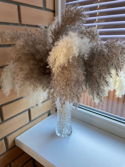 A high-angle shot depicts a clear, intricately patterned vase filled with dried flowers, likely pampas grass. The flowers exhibit a blend of white and brown hues. The vase rests on a white surface adjacent to a window frame, against a brick floor. Blinds are visible behind the flowers and window. The location is specified as Лесной Пейзаж Кп (шарапово), Russia.