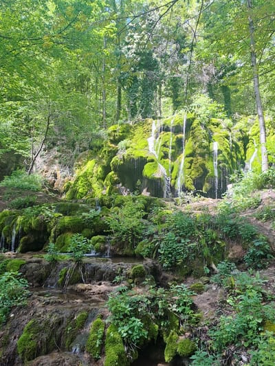 The image shows a waterfall in the city of Chelopek, Bulgaria. The waterfall cascades down a rocky cliff covered in lush green moss and vegetation. The water flows in multiple streams, creating a visually dynamic effect. The surrounding environment consists of dense trees and foliage, typical of a forest setting. The lighting is bright and sunny, highlighting the vibrant green colors of the vegetation.