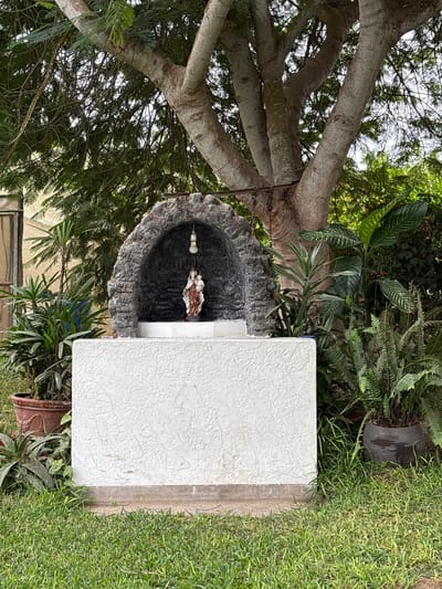 The image shows a backyard or garden scene in Aucallama, Peru. In the center is a concrete wishing well with a textured white side, containing a religious figure. A large tree with multiple branches overhangs the well. Lush greenery surrounds the well, including ferns, leafy plants, and grass. A dark pot is near the right edge. The image is taken from an upward angle.