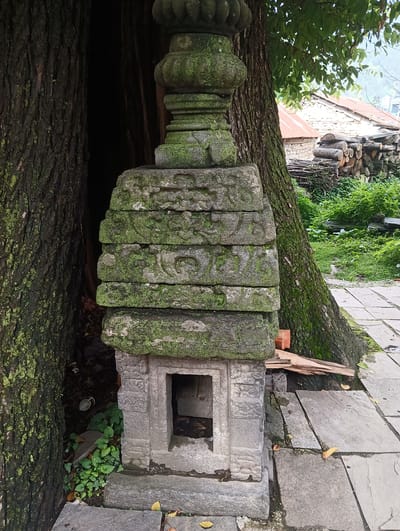 This image shows a stone structure, possibly a shrine or monument, covered in moss and lichen, situated between the trunks of two large trees. The structure is tiered, with intricate carvings on the upper sections and a small, open chamber at the base. To the right of the structure, a paved pathway leads away, and in the background, there is a glimpse of rural architecture with a red-tiled roof and a stack of firewood. Green vegetation surrounds the area. The image does not provide any specific visual information to place it within the city of Gojra, India, or any other specific city.