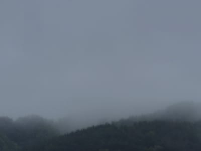 This is a photograph of a natural landscape under overcast skies. The scene is dominated by a dense, dark green forest that occupies the lower portion of the image. The trees are mostly obscured by a thick layer of fog or mist, giving the impression of a misty or rainy day. The fog rolls over the undulating terrain of the forest, creating a soft, diffused effect and obscuring the details of the individual trees and the ground below.
Above the tree line, the sky is a uniform, pale gray, suggesting a heavily clouded sky with no direct sunlight. The overall mood of the image is somber and atmospheric, characterized by the muted colors and the pervasive mist. The lack of sharp details and the hazy atmosphere contribute to a sense of depth and mystery within the landscape. There are no people or man-made objects visible in the frame. The time of day is indeterminate due to the overcast conditions, but it appears to be daytime. The location is Uglegorsk, Russia, and the weather is clearly foggy or misty.