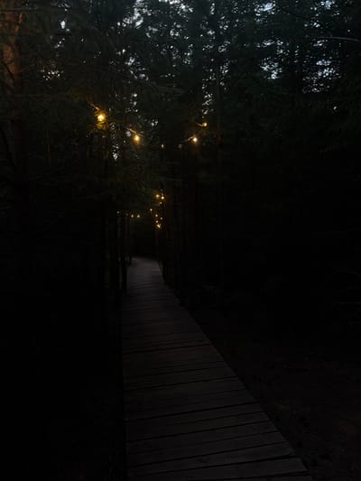 A boardwalk winds through a dark forest, illuminated by a string of warm fairy lights draped between trees. The wooden planks of the boardwalk are worn and dark, suggesting age and use. Tall, dense trees with dark green needles rise on either side of the path, their branches creating a canopy overhead that obscures most of the sky. The overall scene is one of a dimly lit, natural setting, likely in the evening or at night, with the lights providing a touch of whimsical ambiance to the otherwise shadowed environment. The location is the city of Kuliki, Russia.
