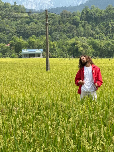 The image, oriented vertically, depicts a man standing in a sunlit rice field in Ngọc Đường Commune, Vietnam. The scene is set against a backdrop of lush green mountains and a partially visible clear sky, suggesting a bright day, likely late morning or early afternoon.
The primary subject is a man with long, curly brown hair and a beard, dressed in a white t-shirt, a red jacket with white trim, and light-colored trousers. He looks towards the viewer with a relaxed and content expression, his hands loosely clasped in front of him. A small, indistinct emblem or text is visible on the left chest of his red jacket.
The expansive field surrounding him is filled with mature rice plants, displaying a vibrant mix of golden-yellow and bright green hues, indicating a harvest-ready or nearly harvest-ready crop. In the mid-ground, a tall, grey utility pole with multiple electrical wires stands prominently. Beyond the field and the pole, a house with a light blue roof and white walls is nestled amidst the green trees at the foot of the mountains. The mountains themselves are covered in dense vegetation, rising into the hazy distance under a bright sky.
The overall impression is one of a peaceful, rural agricultural landscape in Vietnam. There is no clearly legible text visible in the image other than the unreadable insignia on the man's jacket.