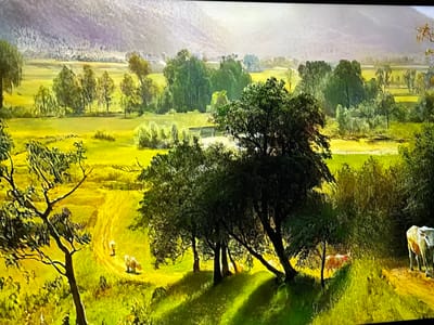 This image depicts a vibrant and stylized rural landscape, representative of the pastoral environments found around the city of Reus, Spain. The scene features extensive rolling fields blanketed in lush green and bright yellow vegetation, illuminated by strong, low-angle sunlight that casts long, distinct shadows from various trees across the undulating terrain. In the foreground, a prominent, dark-barked tree with sparsely leafed branches frames the left side. A light-colored dirt path winds through the lower-left and mid-ground, where two light-colored ovine animals (sheep or goats) are visible, one standing and one grazing. Further right, a dense cluster of trees slopes downwards, with rays of sunlight filtering through. At the far right, a light-colored bovine animal with reddish markings stands partially visible at the edge of a field. The midground contains numerous clusters of green deciduous trees interspersed with open fields, leading to distant structures nestled among trees. A hazy, bluish-grey mountain range or hills forms the backdrop, receding into atmospheric perspective. The overall impression is one of an idealized, tranquil agricultural setting without any visible human figures or direct human activity.