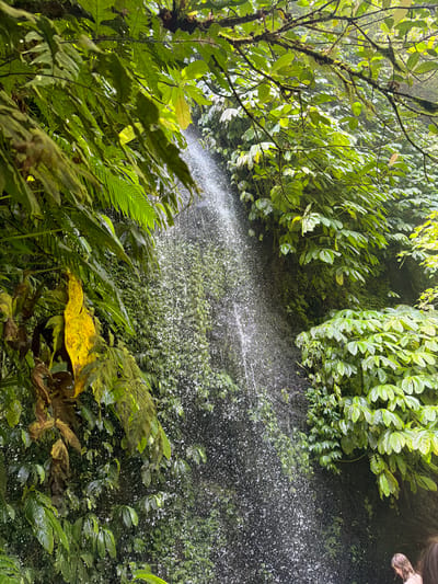 The image depicts a narrow waterfall cascading down a moss-covered rock face, surrounded by lush, green vegetation. The water is visibly misty as it falls, creating a shimmering effect against the dark rock. Large, waxy leaves dominate the foreground and frame the waterfall, with some leaves appearing yellowed and dry, suggesting a possible seasonal change or specific plant type. The environment is dense and humid, characteristic of a tropical rainforest. In the lower right corner of the image, a person with long, wavy brown hair and wearing a light-colored top is partially visible, looking towards the waterfall. The scene is set within the natural landscape of Sawan, Indonesia, a region known for its rich biodiversity and scenic waterfalls.
