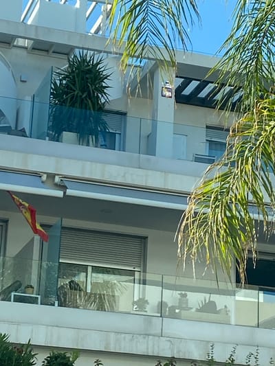 This is a close-up, eye-level, vertical, exterior shot of a modern building with multiple balconies, likely a residential apartment building, located in the city of La Antigua, Spain. The building features white concrete walls, glass railings on the balconies, and roll-down shutters on some windows. A Spanish flag is visible on the left side of a balcony, attached to a pole. Plants, including a large spiky plant and palm fronds, are prominently featured in the foreground and partially obscuring the view of the building. The sky is visible and appears clear and blue. There are no people clearly visible in the image. The overall impression is that of a bright, sunny day in a coastal or Mediterranean location.