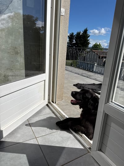 A black Newfoundland dog lies panting on a tiled patio, visible through an open white door in Veauche, France. The patio is bordered by a dark wrought-iron fence. A tree and a blue sky with white clouds are seen beyond the fence. The open door is white-framed with a glass panel at the bottom. The wall adjacent to the door is beige. The scene is brightly lit, suggesting midday sunlight.