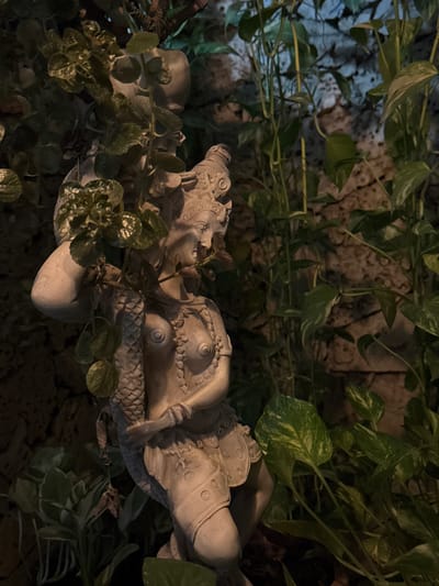 The image depicts a close-up, low-angle view of a light-colored statue of a deity, possibly a representation from Hindu mythology, adorned with intricate jewelry and a headdress. The statue is partially obscured by lush green foliage, including vines and leafy plants, which are intertwined with its form. The background appears to be a textured, brick-like wall, possibly illuminated by artificial light that casts shadows and highlights the textures of the stone and plants. The overall impression is one of a garden or an outdoor decorative setting, with the statue being the central focus. The specific location in Santa Marta, Colombia, is not discernible from the visual information provided in the image.
