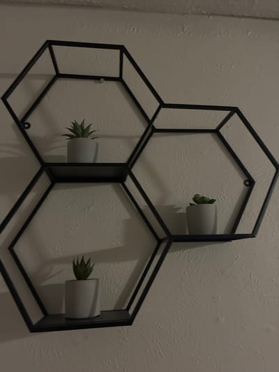 An interior view shows a black metal hexagonal shelf unit mounted on a white textured wall. Three small gray cylindrical pots, each containing a green succulent plant, are placed on the shelves. One pot is on the top left shelf, another on the middle right shelf, and the third on the bottom left shelf. The lighting is dim, casting shadows on the wall. The image does not provide any information about the city of Dallas, United States of America.