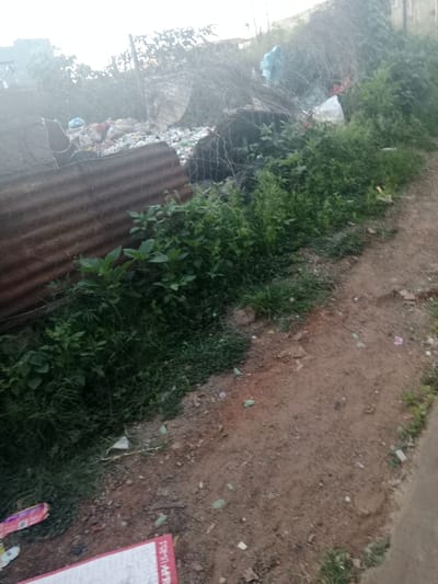 The image captures an outdoor scene, likely a neglected area or informal settlement, characterized by overgrown vegetation, a dirt path, and a significant amount of accumulated waste. No people are visible in the frame.
In the foreground, a rough dirt path or road occupies the right side of the image, leading towards the upper right. To its left, a dense line of green, leafy vegetation, including tall grass and bushes, thrives along the edge of the path. Further to the left, partially obscured by this greenery, lies a rusty, corrugated metal sheet, possibly part of a fence or makeshift structure.
The midground and background are dominated by a large, sprawling pile of refuse. This waste heap consists of numerous discarded items, prominently featuring white and colored plastic bags, plastic bottles, and other general trash. Interspersed with the rubbish are dry, thorny branches or tangled vines, suggesting an unkempt environment. Beyond the immediate waste, the distant background reveals faint outlines of structures or buildings under a hazy sky, indicating an urban or semi-urban setting.
The lighting suggests it is daytime, with soft, diffused light, possibly indicating an overcast sky or early morning/late afternoon conditions, as there are no harsh shadows. The overall scene conveys a sense of neglect and environmental concern.
In the bottom-left corner of the image, a piece of discarded packaging, red and white in color, is partially visible. Text on this packaging can be seen, which appears to read "PRIM-AFRICA" or a similar variant, though part of the word is cut off. The visible environment, with its unpaved ground, dense wild vegetation, and informal waste disposal, aligns with characteristics found in some areas of Soweto, South Africa.
