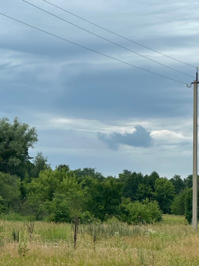 The image depicts an outdoor scene in Zvenyhorodka, Ukraine, on a cloudy day. The composition is dominated by a telephone pole on the left side, with multiple wires extending diagonally across the frame towards the right. The sky above is a pale blue, streaked with wispy white clouds, and a larger, darker cloud is visible in the middle of the sky.
To the right of the telephone pole and wires, a dense line of green trees forms a visual boundary. Beyond the trees, a field of dry, light-colored grass with scattered small white and red flowers is visible. The overall impression is that of a rural or semi-rural landscape. There is no discernible text in the image, and no people are present. The lighting suggests it is daytime, likely morning or afternoon, given the cloud cover. The scene conveys a sense of stillness and natural beauty, with a hint of human infrastructure in the form of the telephone pole and wires.