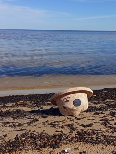 The image presents a bright outdoor scene at a sandy shoreline, identified as being in Podborov'e, Russia. The upper third of the frame shows a clear, pale blue sky with minimal, wispy cloud cover. This meets a distant, vast body of calm, deep blue water at the horizon, suggesting a large lake or sea.

In the mid-ground, the water gradually lightens to a greenish-brown tone as it approaches the shore, exhibiting subtle ripples and dark, elongated reflections or submerged patches. The foreground consists of a light beige sandy beach, heavily textured with dark brown and black organic debris, consistent with dried plant matter, small sticks, and possibly seaweed.

The primary subject, centrally located in the lower portion of the frame, is a light tan, woven straw hat. It lies on its side on the sand, with its brim slightly upturned. The crown of the hat features an embroidered or appliquéd facial design: one eye is a dark blue circle with a lighter center, while the other is depicted as a simple curved black line, giving the impression of a wink or closed eye. A small curved line suggests a mouth or cheek mark. The hat casts a distinct dark shadow to its right, indicating strong sunlight from the left. A small, light-colored bivalve shell is partially visible in the sand at the very bottom center of the frame. No people or animals are present.