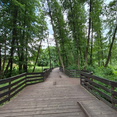The image shows a wooden walkway in a park. The walkway is made of dark brown planks and has dark brown railings on both sides. The walkway is elevated and curves to the left as it extends into the distance. The surrounding environment is a dense forest with tall green trees. The sky is visible through the trees and appears to be partly cloudy. There are a few scattered leaves on the walkway. There are no people or animals visible in the image. The scene appears to be peaceful and natural. This walkway is located in the city of Liski, Russia.