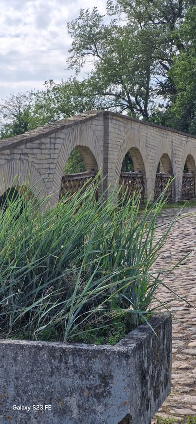 In Pakruojis, Lithuania, a stone bridge with multiple arched openings spans a cobblestone pathway. In the foreground, tall green grass grows in a concrete planter, partially obscuring the bridge's lower section. Beyond the bridge, trees with green foliage line the background. The sky is overcast with scattered clouds.
