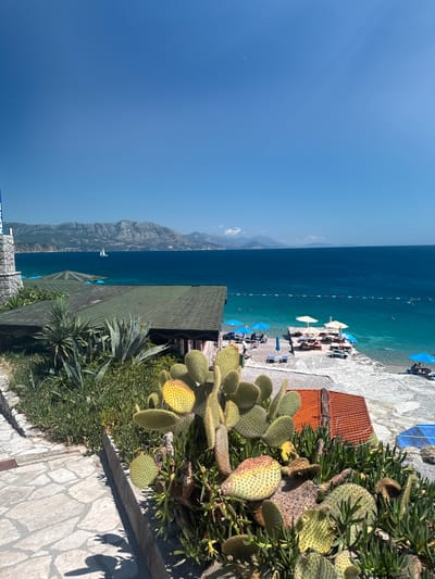 The image depicts a sunlit coastal scene in Kubasi, Montenegro, viewed from an elevated perspective. The upper third of the frame is dominated by a clear, light blue sky with a faint white contrail visible in the upper left quadrant.
In the mid-ground, a distant, hazy grey mountain range stretches horizontally across the horizon. Below the mountains, the sea exhibits two distinct color zones: a darker, deep blue in the distance and a lighter, vibrant turquoise closer to the shore. A white sailboat is present on the deeper blue water in the mid-left. A safety line, composed of red and white buoys, extends across a section of the turquoise water where several individuals are swimming.
The shoreline consists of a narrow, light-colored rocky or pebbly beach. On the beach, numerous blue and a few white beach umbrellas shade an array of sun loungers. A small, rectangular pier or platform extends into the turquoise water, also furnished with umbrellas and loungers. Individuals are visible on the beach and in the water, engaged in recreational activities such as sunbathing and swimming.
Architectural elements include two low-rise buildings with dark green, possibly tiled, roofs positioned between the viewer and the sea, partially obscured by dense vegetation. A stone-built structure or wall is present on the far left. Closer to the foreground, a small structure with a reddish-brown corrugated roof is partially visible. A light-colored, irregularly paved stone path runs along the lower left foreground.
The immediate foreground is characterized by lush Mediterranean vegetation. Prominent are several large Opuntia cacti (prickly pear), some pads displaying a yellowish-green coloration with visible spines and reddish spots, possibly indicating ripening fruit or specific species characteristics. Other cactus pads are uniformly green. Interspersed among the cacti and along retaining walls are numerous agave plants and dense ground cover, consistent with succulent species like ice plant. The shadows cast by the foreground vegetation indicate a high sun position.