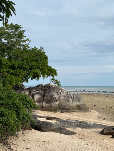 The image depicts a beach scene in Ban Bang Khao, Thailand. In the foreground, there is light-colored sand with some scattered shells and debris. Several large, dark grey boulders are visible on the sand, some with visible cracks. To the left, a lush green tree with dense foliage overhangs the scene, and a thick bush is also present. Beyond the sand and boulders, the ocean is visible, with calm, light blue water extending to the horizon. The sky is overcast with light grey clouds. There are no people or animals in the frame.