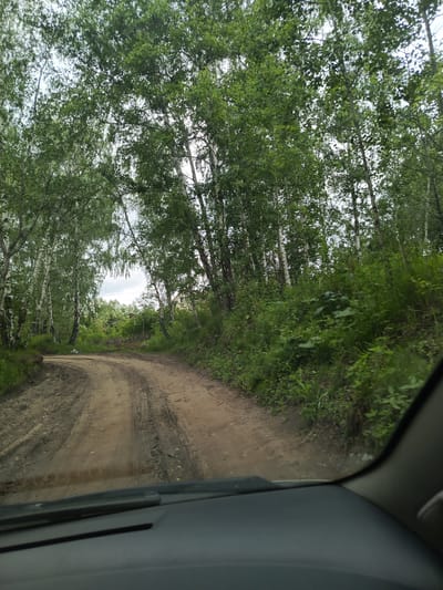 A dirt road curves through a forest of birch trees in Meget, Russia. The road is muddy with visible tire tracks. Lush green foliage lines the sides of the road, with a small building visible in the distance on the right. The image is taken from inside a vehicle, with part of the dashboard and windshield visible in the foreground. The sky is overcast.