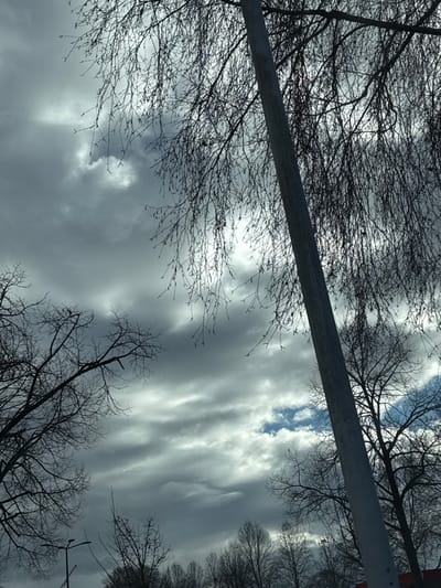 The image depicts a sky view above Oberhausbergen, France, dominated by an overcast grey cloudscape. Sunlight diffuses through and behind the clouds, creating brighter patches, with a distinct section of clear blue sky visible in the lower right quadrant. Numerous deciduous trees, bare of leaves, are silhouetted against the sky, suggesting a winter or early spring setting. A tree with fine, drooping branches occupies the upper right and central portions of the frame. A grey, possibly metallic, utility pole or lamppost extends diagonally from the mid-right towards the bottom center. A smaller, dark street lamp post is partially visible in the lower left. No individuals, animals, or specific actions are discernible.
