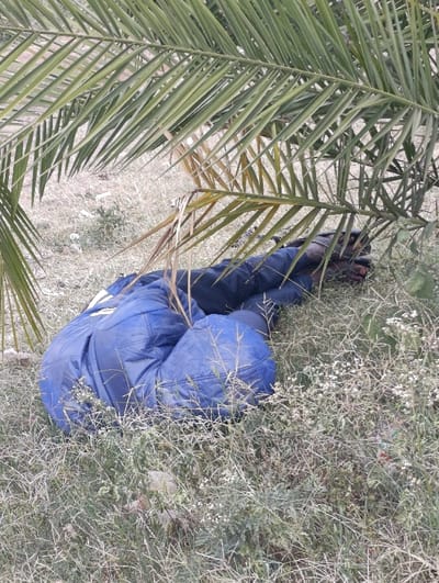 A single individual is observed lying on the ground in the Matungulu west ward, Kenya. The person is positioned on their right side, partially obscured by large, green palm fronds that extend over their head and upper torso. They are wearing a dark blue, possibly padded, garment that covers their body. The immediate ground cover consists of sparse, dry green and brown grass, intermingled with weeds and some small white-flowering plants. The visible soil beneath the vegetation is light-colored and appears dry. The background shows similar dry ground with minimal vegetation.