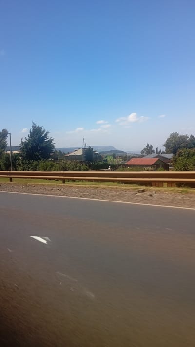 The image captures a landscape view from the perspective of a moving vehicle, with a distinct division between a blurred foreground, a clear midground, and a scenic background under a bright sky.
In the immediate foreground, the lower half of the image consists of a dark greyish-brown road surface, significantly blurred by motion, indicating that the picture was taken from a vehicle in transit. Streaks and faint white reflections are visible on the road.
Separating the road from the roadside scene is a prominent reddish-orange metal guardrail or crash barrier, running horizontally across the mid-section of the image. Beyond this barrier, there's a strip of green grass and various types of foliage.
The background reveals a semi-urban or rural settlement nestled against a backdrop of distant hills or mountains. On the left side, a tall, dark green coniferous tree stands out, appearing somewhat windblown. Nearby, a utility pole is visible. Several houses are scattered among the greenery; one on the left has a dark roof and a large, dark green water tank on stilts next to it. Further to the right, another house with a distinctive reddish-orange corrugated roof can be seen. Various fences, possibly made of wood or corrugated metal, delineate properties. In the far distance, a range of hazy, undulating hills or mountains stretches across the horizon.
The sky is a vibrant, clear blue, occupying the upper portion of the image. A few sparse, white cumulus clouds are scattered, primarily towards the right side of the frame.
The overall scene suggests a sunny daytime setting, possibly late morning or early afternoon, with clear weather conditions. The presence of houses and cultivated land indicates a populated area, likely outside a major city, perhaps a highland or hilly region given the distant topography. There are no people or discernible text visible in the image. The blur in the foreground effectively conveys the sensation of traveling through this landscape.