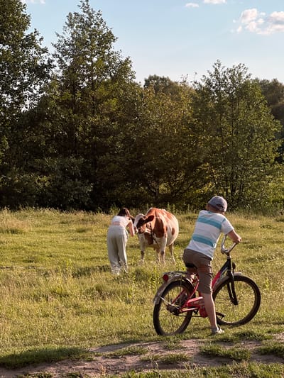 In the village of Vertelka, Ukraine, a boy on a bicycle observes a girl interacting with a cow in a grassy field. The boy, wearing a striped t-shirt, shorts, and a cap, is positioned in the foreground, his back to the viewer, with his hands on the handlebars of his red bicycle. The girl, dressed in light-colored pants and a top, is in the middle ground, bending towards the brown and white cow. The cow is facing away from the viewer. The environment is a sunlit meadow with trees forming a dense backdrop. The sky above is blue with scattered clouds.
