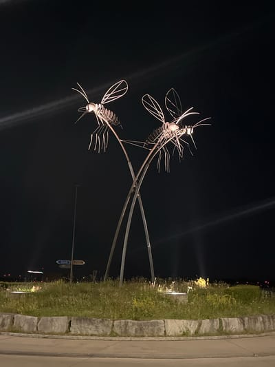 A low-angle, medium shot captures a public art installation in Dübendorf, Switzerland, at night. Two stylized, metallic insect sculptures, resembling mosquitoes, are mounted on a slender metal pole that extends upwards and curves. The sculptures feature wire-frame wings, antennae, and bulbous bodies that are illuminated, suggesting an internal light source.
The background is primarily black, indicating nighttime. To the right of the insect sculptures, there is a strip of vegetation, likely a grassy area, illuminated by ground-level lights. A concrete sidewalk or path runs along the edge of the vegetation. In the distance, there are a few street lights and a signpost with blue and white directional signs that point to "Zurich".