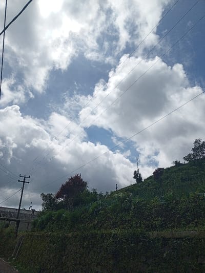 A scene under a sky filled with fluffy clouds and patches of blue. Power lines crisscross the view. On the lower portion, a lush, green hillside covered in vegetation climbs upwards. Scattered trees punctuate the slope. A utility pole stands on the left, adjacent to a stone wall or building. A figure can be seen standing on the hillside.