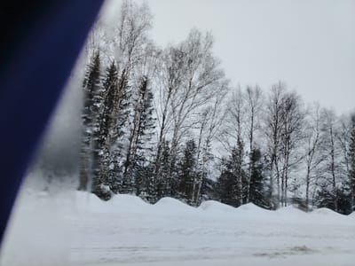 A snowy winter landscape features a row of trees, some evergreens and some bare birch, against a cloudy sky. Snow covers the ground in mounds, and the image is partially obscured by a blurred, blue-tinted element on the left side, suggesting the view is from inside a vehicle. The overall scene is muted and cold, dominated by whites, grays, and dark greens. The road is visible in the foreground.