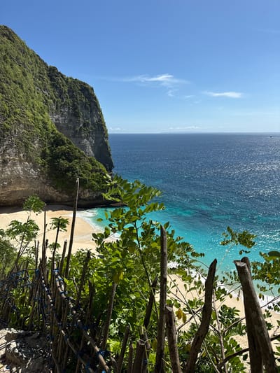 The image captures a beach scene near Bunga Mekar, Indonesia. The composition includes a cliff face on the left, densely covered in green vegetation. To the right of the cliff is a sandy beach where the ocean waves lap. The water transitions from a deep blue in the distance to a lighter turquoise near the shore. In the foreground, branches and leaves from trees or bushes partially obscure the view, creating a framed perspective of the landscape. A handmade fence of tied branches and blue rope runs along the foreground. The sky is blue with scattered wisps of clouds.
