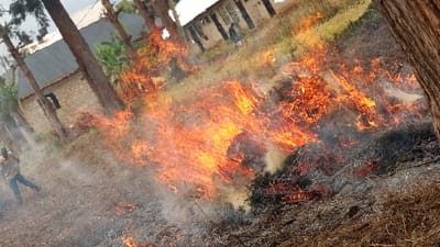 An outdoor scene in Longuo 'A', Tanzania, depicts a fire actively burning across an area of dry vegetation. Large orange flames and white smoke emanate from the ground, which is covered in dry grass and brush, with areas of burnt ash visible. In the left midground, a lone individual, dressed in a light-colored top and dark trousers, is observed walking or standing on the dry, unburnt ground, partially enveloped by smoke, moving away from the primary fire activity. Several trees with dark, slender trunks are present throughout the frame. In the background, multiple structures are visible; one notable building on the left features light-colored brick walls and a dark, corrugated roof. The ground appears to be on a slight incline.
