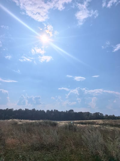 The image shows a landscape scene under a bright, sunny sky with scattered clouds. The sun is prominently visible in the upper left quadrant, casting a strong lens flare and a beam of light across the sky. Below the sky is a dense line of trees forming a horizon. In the foreground, there is a field of dry, tall grass with some lighter colored wisps that suggest wind movement. The lighting indicates it is daytime, likely midday due to the sun's position and intensity. The location is described as being in the city of Кузьминовка, Russia. There are no people or animals visible in the image. The overall impression is one of a natural, open, and sunny rural environment.