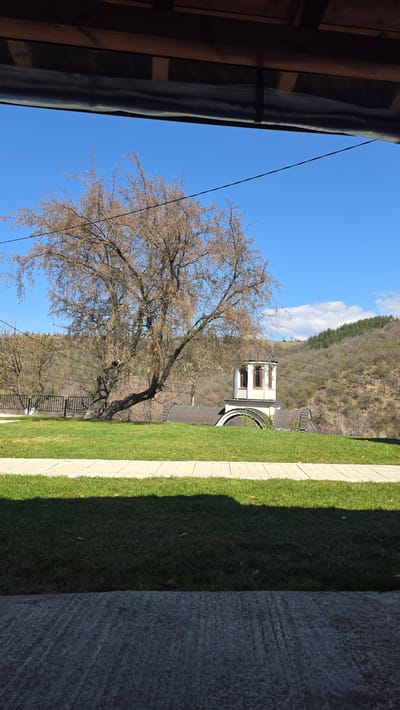The image shows an exterior view of a building and surrounding landscape, likely taken in Elenovo, Bulgaria, based on the presence of buildings and landscape architecture typical of the area.
**Objects and Environment:**
* A tree with bare branches, prominent in the center-left of the frame.
* A building featuring a light-colored architectural structure with windows and roof, possibly a bell tower or decorative element of a larger complex.
* A grassy area with a paved walkway alongside it, creating a distinct edge within the landscape.
* A wooded hillside in the background provides a natural backdrop.
* Parts of a building's roof structure are visible on the left edge.
* A portion of a grey wall is on the right edge.
* Power lines are visible in the sky.
**Location Clues:**
* The architectural style and the landscape features suggest the location might be Elenovo, Bulgaria. The style of architecture is typical of monasteries, churches, and cultural sites in that region.
**Overall Scene:**
* The scene depicts a bright, sunny day, as indicated by the clear blue sky. The focus is on the architectural structure, with the tree providing a foreground element. The landscape suggests a semi-rural or historical site, possibly a monastery or historical building complex, as it is common in Elenovo.
