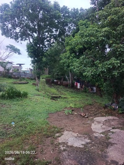 A ground-level, outdoor, daytime view shows a residential yard in El Chaparral, Venezuela. The yard is overgrown with grass, weeds, and various trees. In the background, a partially constructed building with a corrugated metal roof and concrete pillars is visible, along with a damaged corrugated metal fence. Some laundry hangs on a clothesline near a small structure. The foreground features a cracked concrete patio and dirt patches. The scene conveys a sense of disarray and underdevelopment.