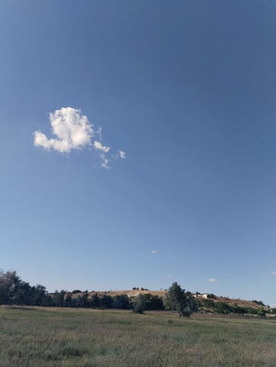 The image depicts a rural landscape under a clear blue sky with a few scattered clouds. In the foreground, a field of dry, light-brown grass stretches across the lower half of the frame. A line of trees, primarily dark green with some lighter, silvery foliage, forms a dense band along the middle ground. Behind the trees, a gentle, undulating hill rises, its slopes covered in vegetation and dotted with small white buildings, suggesting a small settlement. The overall impression is one of a tranquil, sun-drenched day in a rural setting, potentially the outskirts of Bilousivka, Ukraine, given the context provided. There are no people or animals visible in the image.
