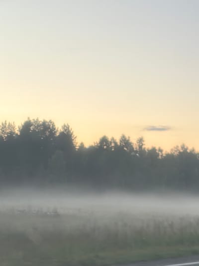 This media file depicts a serene natural scene, likely in Михайловка, Russia. The primary subject is a body of water, possibly a river or lake, veiled in a thick layer of mist. The water's surface is largely obscured by this fog, giving the scene a tranquil and ethereal quality.
On the right side of the image, a dense treeline runs along the edge of the water. The trees appear to be silhouetted against the hazy atmosphere, their forms softened by the mist. The foliage suggests a wooded or forested area.
The sky occupies the left and upper portions of the frame and is characterized by a soft, warm gradient. It transitions from a pale, luminous yellow near the horizon to a lighter, almost white hue towards the top. This color palette indicates that the photograph was taken during either sunrise or sunset, casting a gentle, diffused light over the landscape.
The overall mood of the image is peaceful and quiet. The thick fog muffles any sense of activity, creating a feeling of solitude and natural beauty. The time of day is clearly early morning or late evening due to the quality of the light. There are no visible people or man-made objects that would provide further context about specific activities or locations, beyond the general suggestion of a rural or natural setting. The weather is evidently misty, contributing significantly to the visual atmosphere.