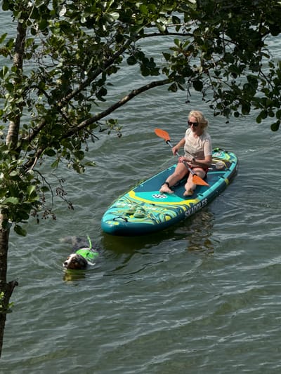 A woman with blonde hair, wearing sunglasses and a light-colored t-shirt with red and white striped shorts, is paddleboarding on a body of water. She is holding an orange paddle. Next to the paddleboard, a dog wearing a green life jacket is swimming. The water is rippled, and a tree with green leaves and small dark berries is in the foreground, partially obscuring the scene. The location is the city of Priladozhskoe, Russia.