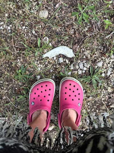 A pair of bright pink Crocs are worn by an unseen person standing on a patch of dry grass and gravel. To the left of the Crocs lies a small, white, curved object that appears to be a bone fragment. The surrounding ground is a mix of small stones, dry leaves, and sparse green vegetation. A portion of a black and white patterned fabric, possibly a blanket or scarf, is visible on the right side of the frame, obscuring part of the person's legs and feet. The lighting suggests it is daytime, and the overall scene conveys a casual, outdoor setting. There is no visible text in the image.